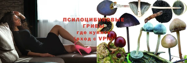 таблы Алексин