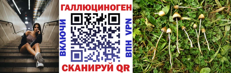 Псилоцибиновые грибы ЛСД  Елабуга 